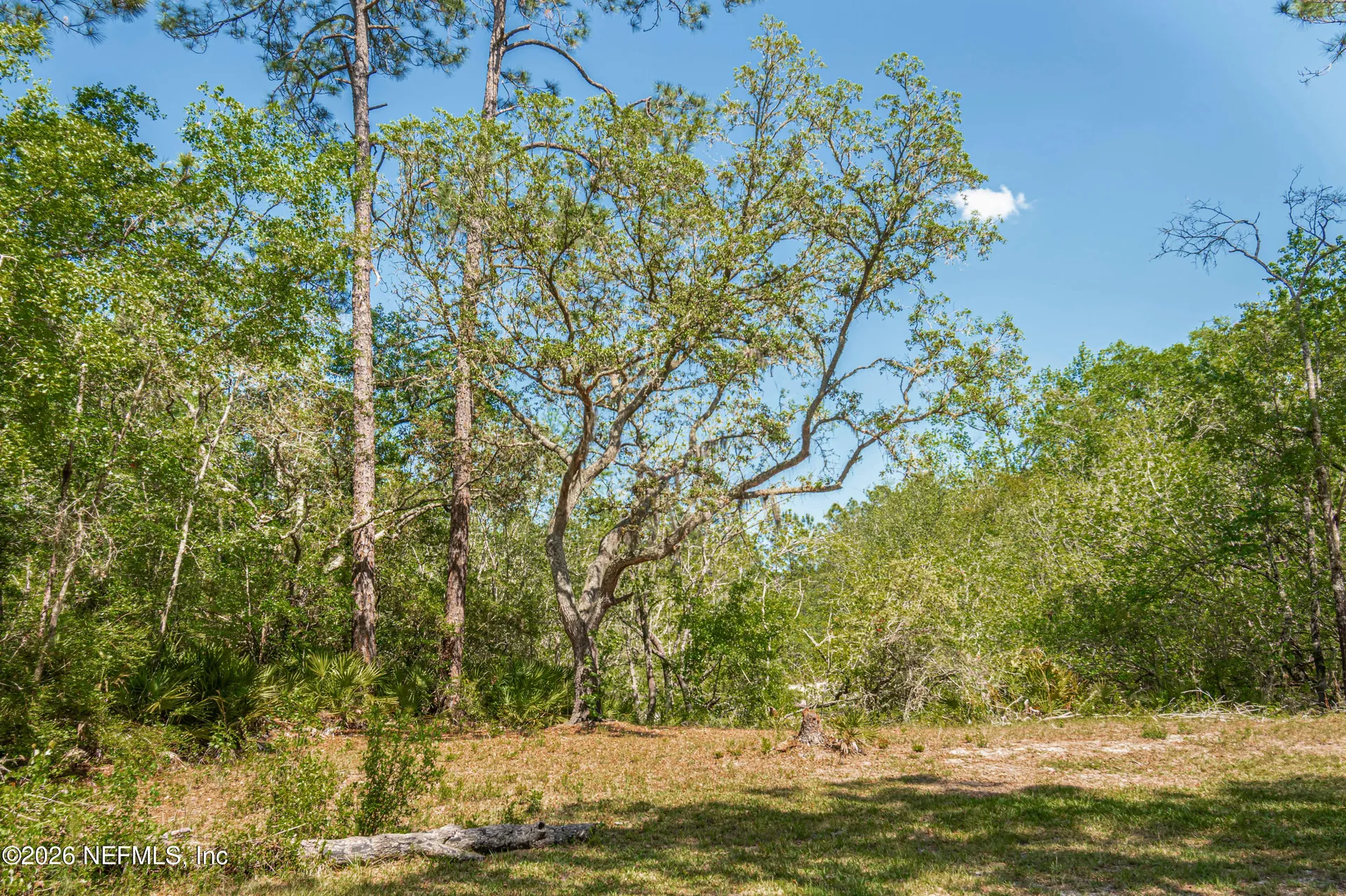 23221 Hassie Johns Road Sanderson FL 32087