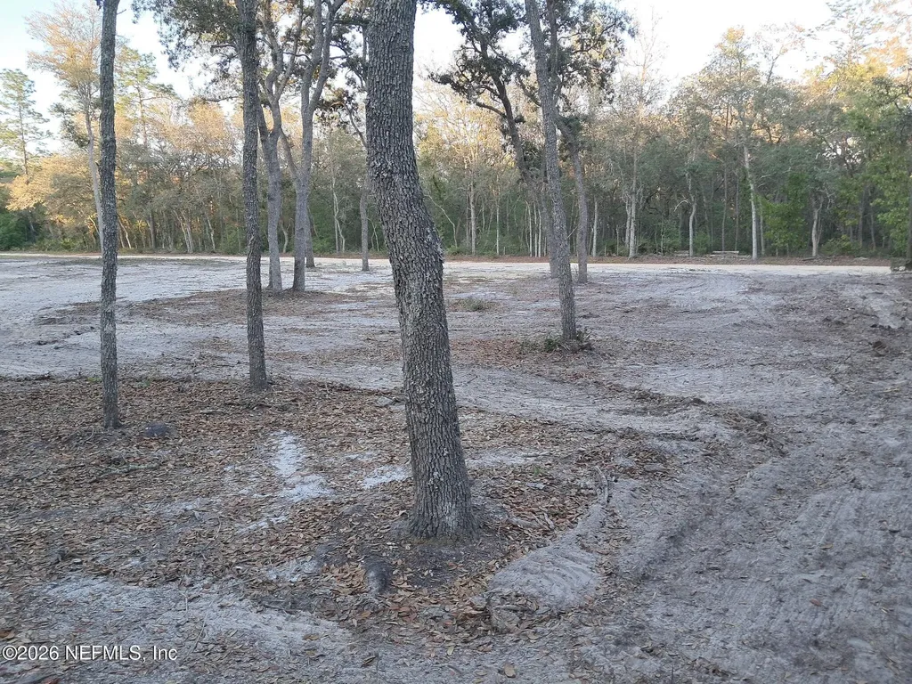 415 Pine Tree Drive Hollister FL 32147
