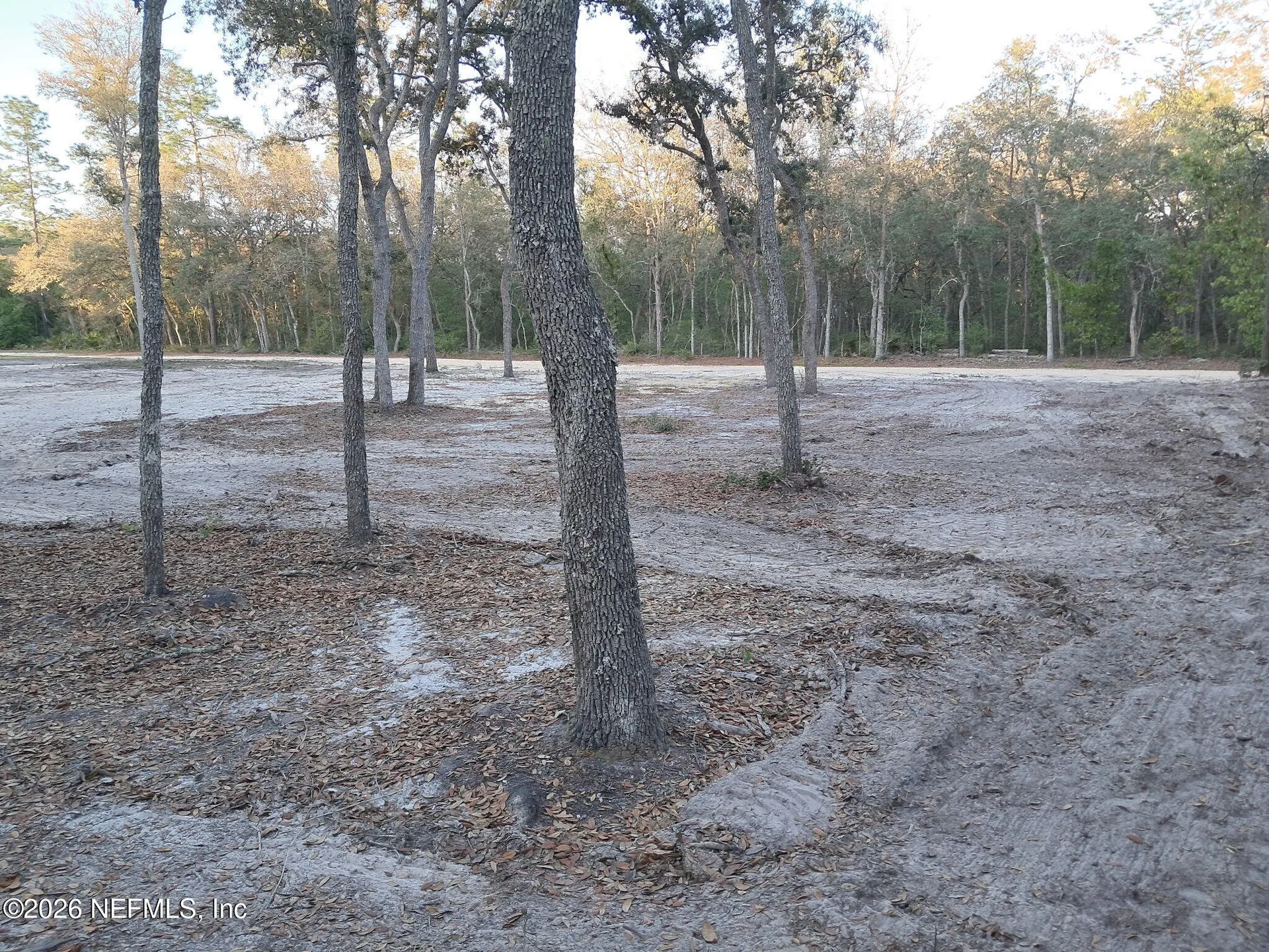 415 Pine Tree Drive Hollister FL 32147