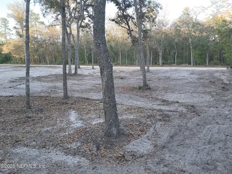 415 Pine Tree Drive Hollister FL 32147