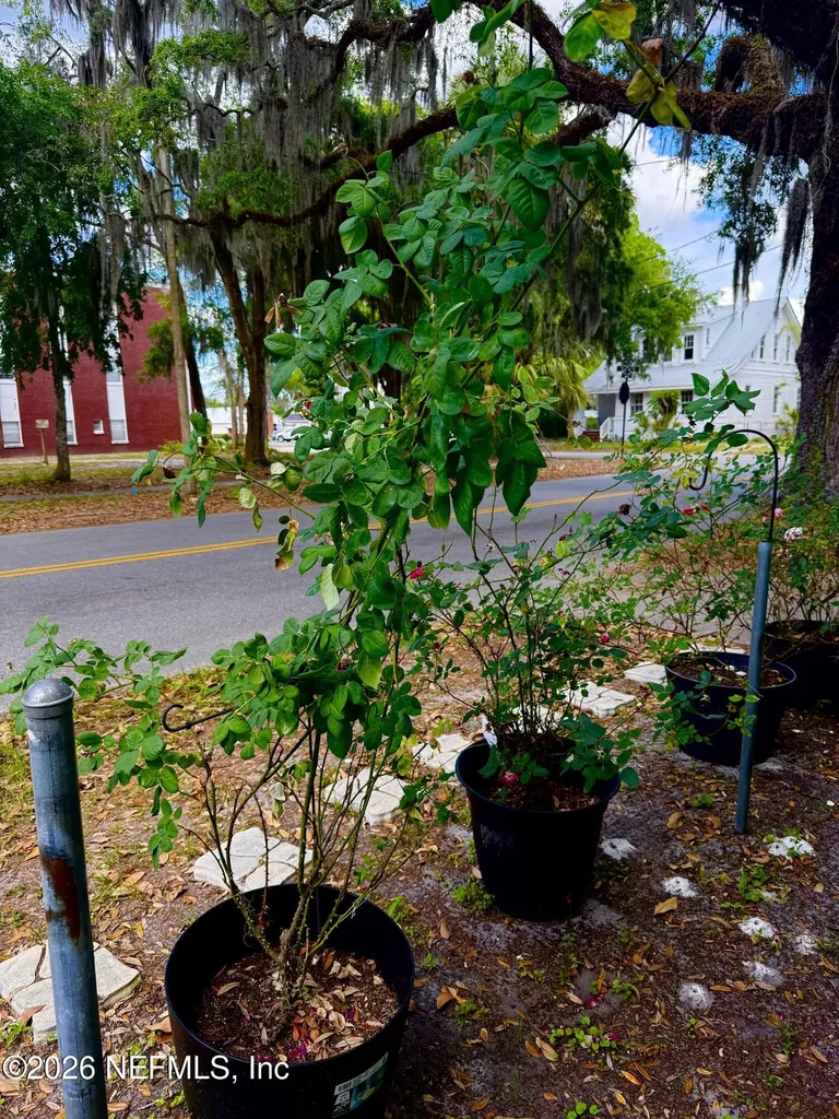 503 Laurel Street Palatka FL 32177