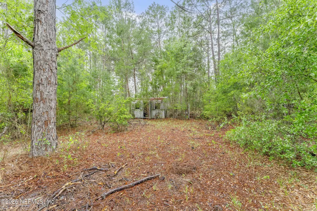1056 Bellamy Road Melrose FL 32666
