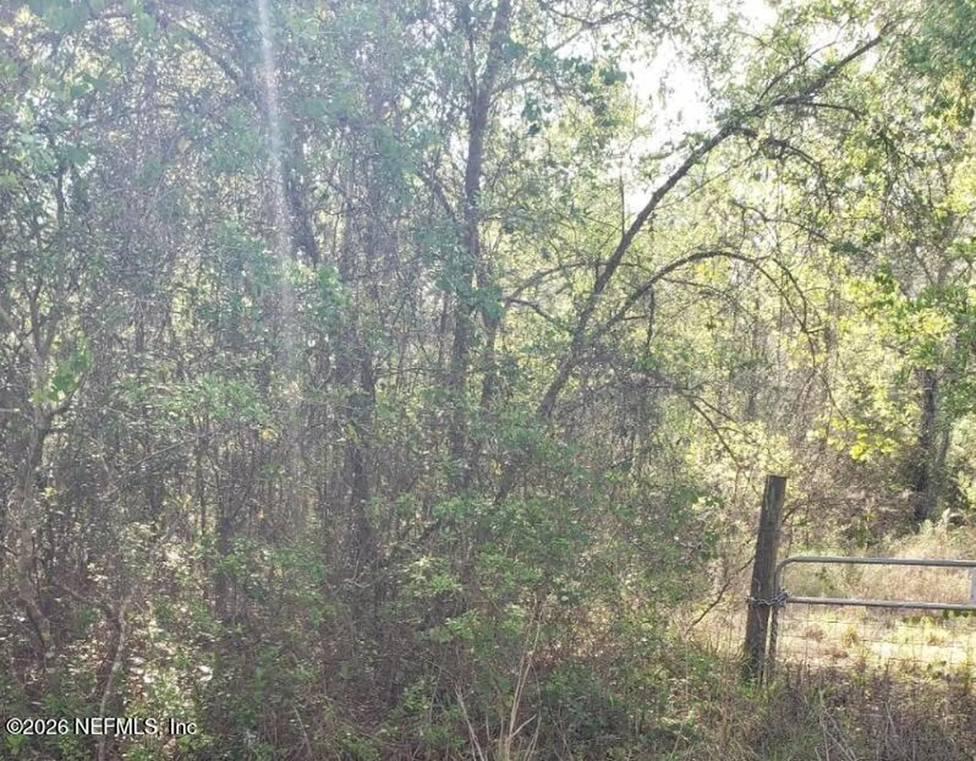 6372 County Road 315c Keystone Heights FL 32656