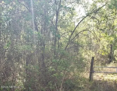 6372 County Road 315c Keystone Heights FL 32656