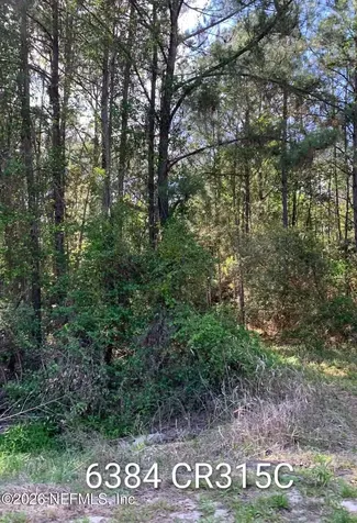 6384 County Road 315 Keystone Heights FL 32656