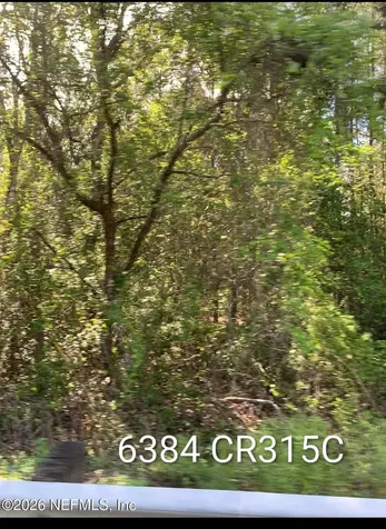 6384 County Road 315 Keystone Heights FL 32656