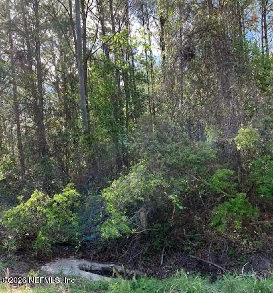 6378 County Road 315c Keystone Heights FL 32656
