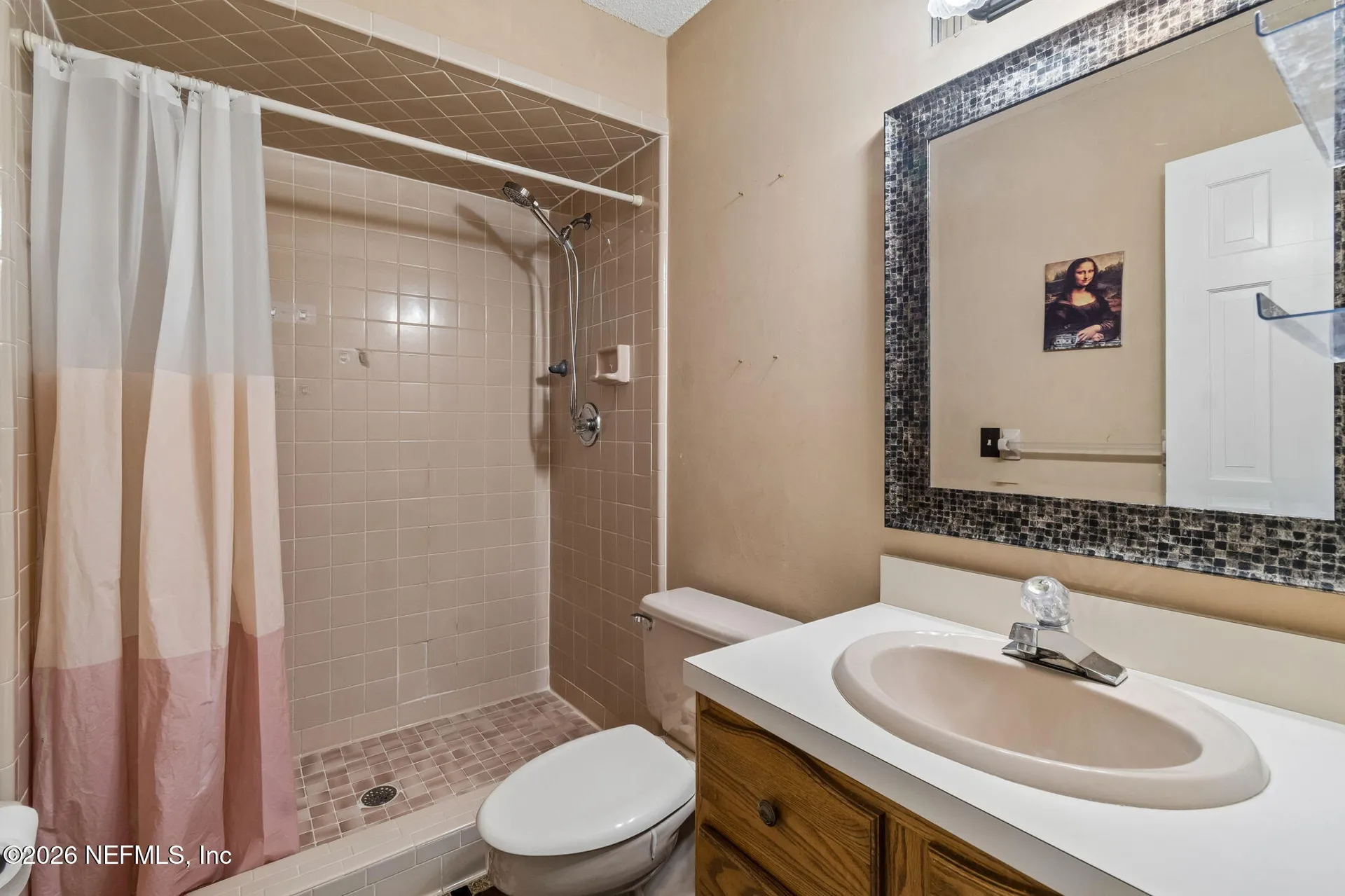 36 Swimming Pen Drive Middleburg FL 32068