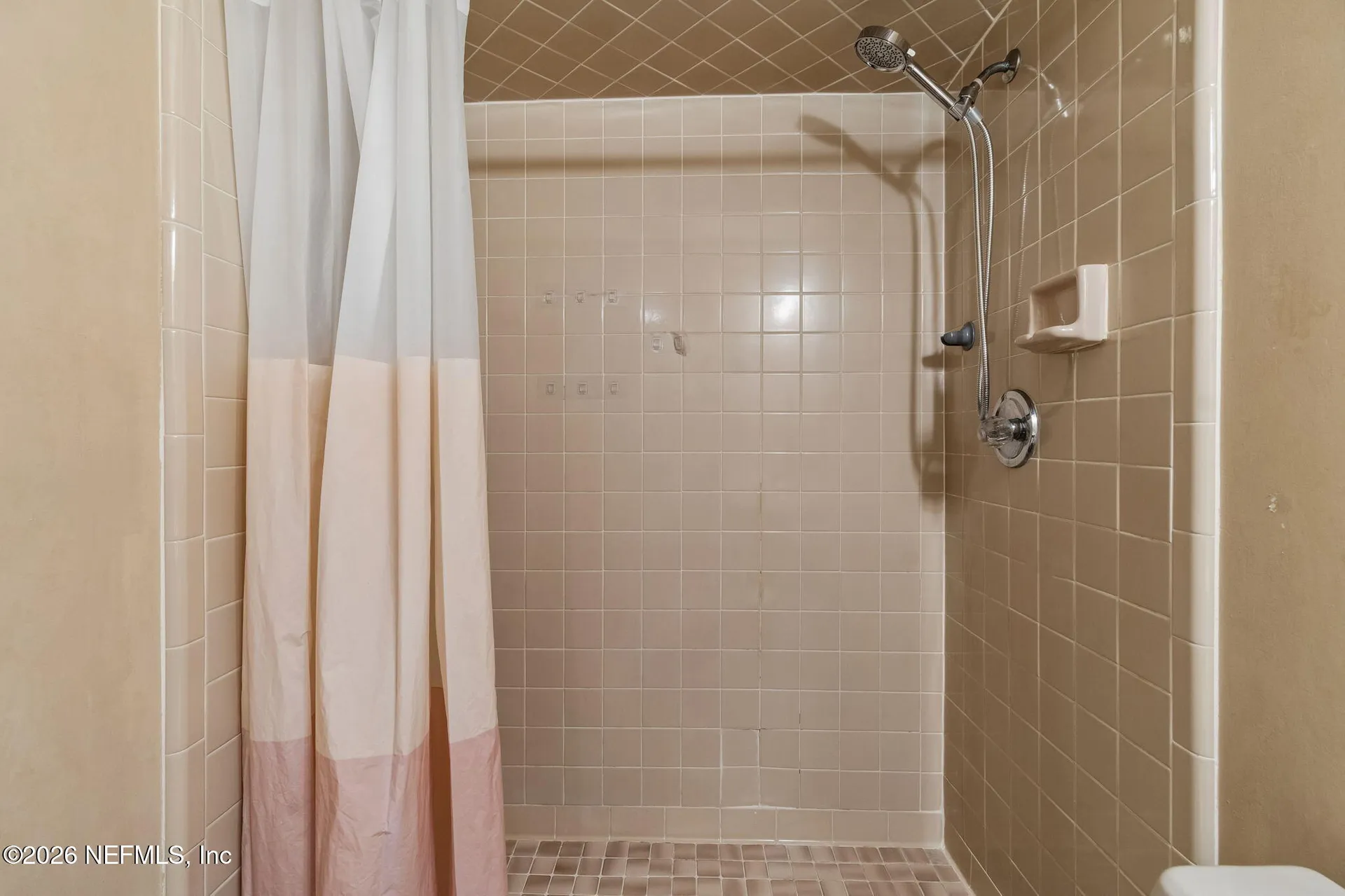 36 Swimming Pen Drive Middleburg FL 32068