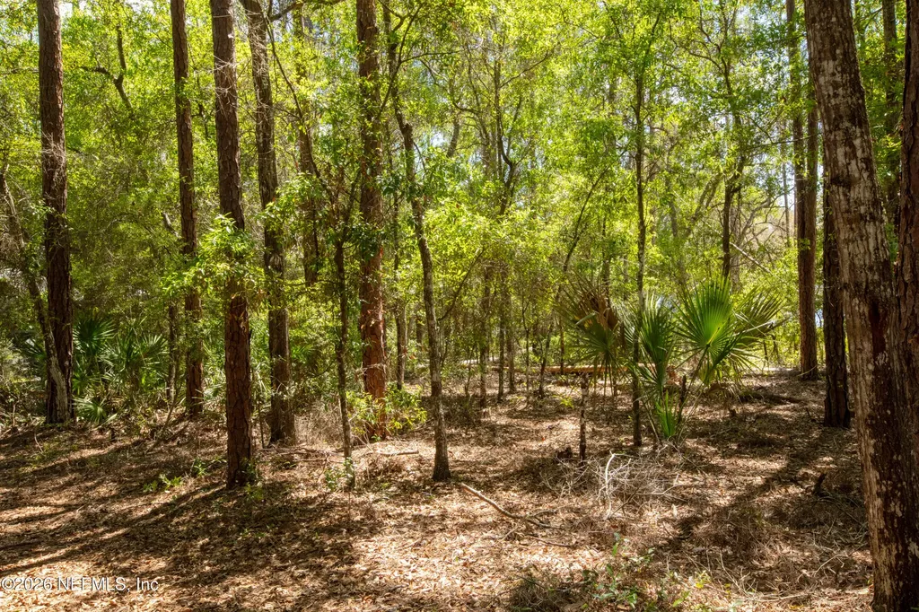 111 Gator Trail Melrose FL 32666