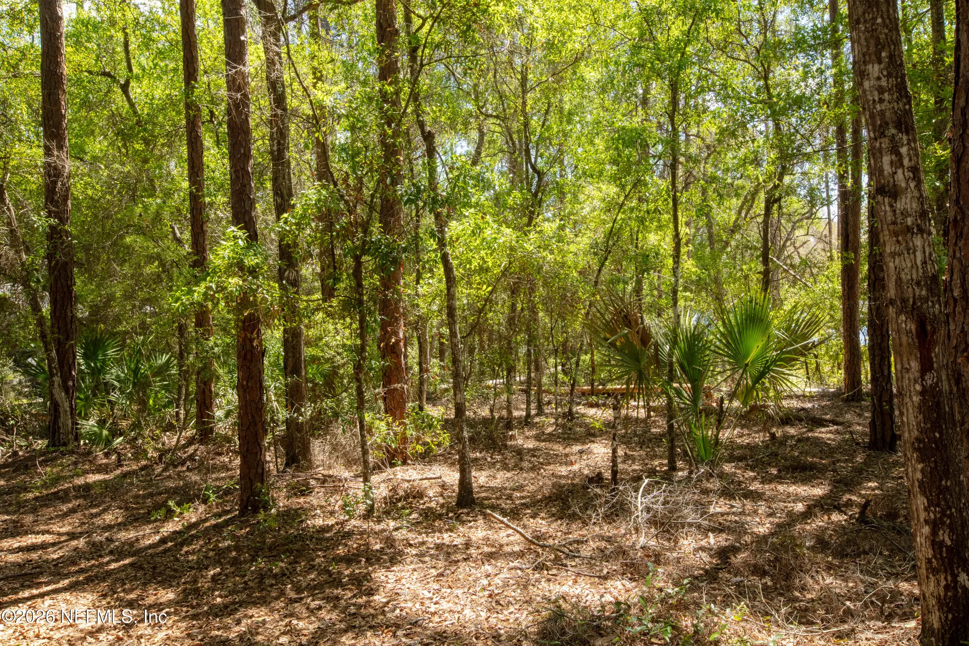 111 Gator Trail Melrose FL 32666