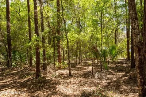 111 Gator Trail Melrose FL 32666