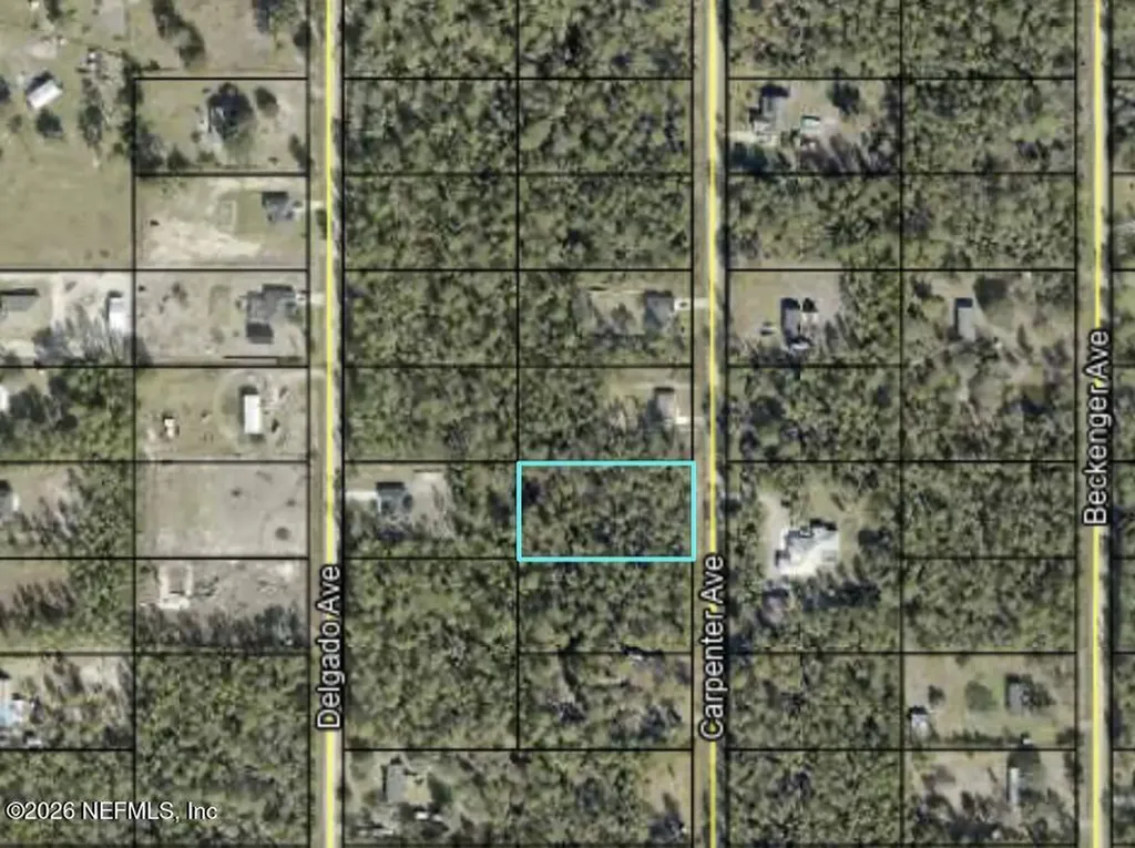 10265 Carpenter Avenue Hastings FL 32145