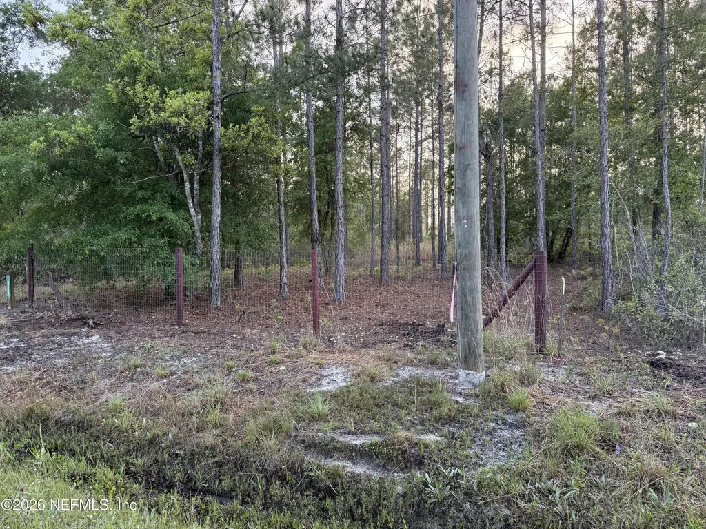 10265 Carpenter Avenue Hastings FL 32145