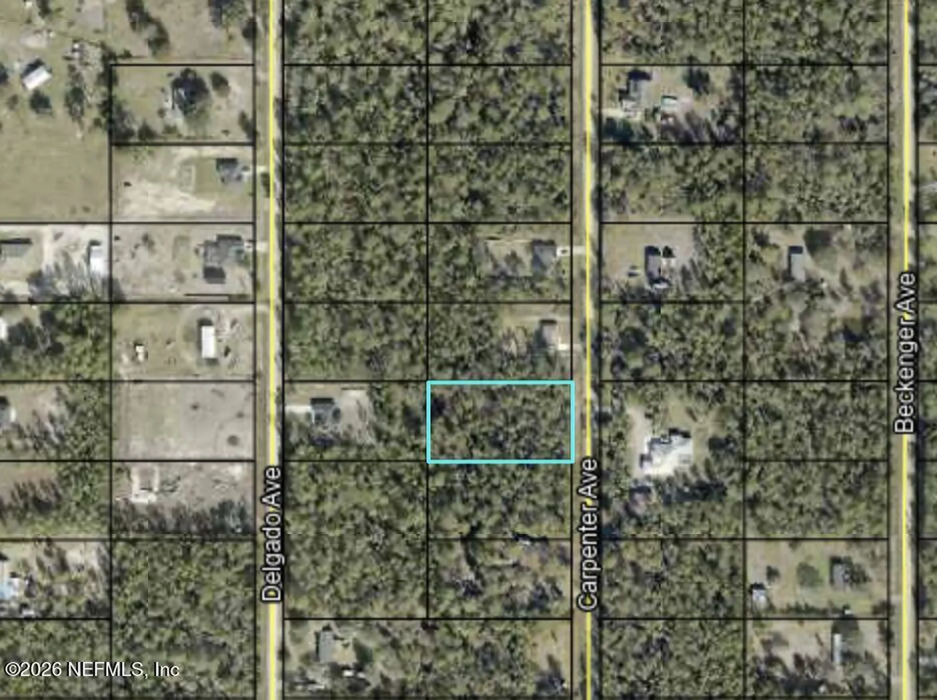 10265 Carpenter Avenue Hastings FL 32145