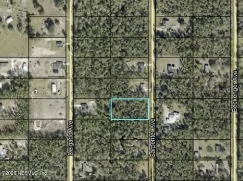 10265 Carpenter Avenue Hastings FL 32145