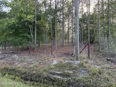 10265 Carpenter Avenue Hastings FL 32145
