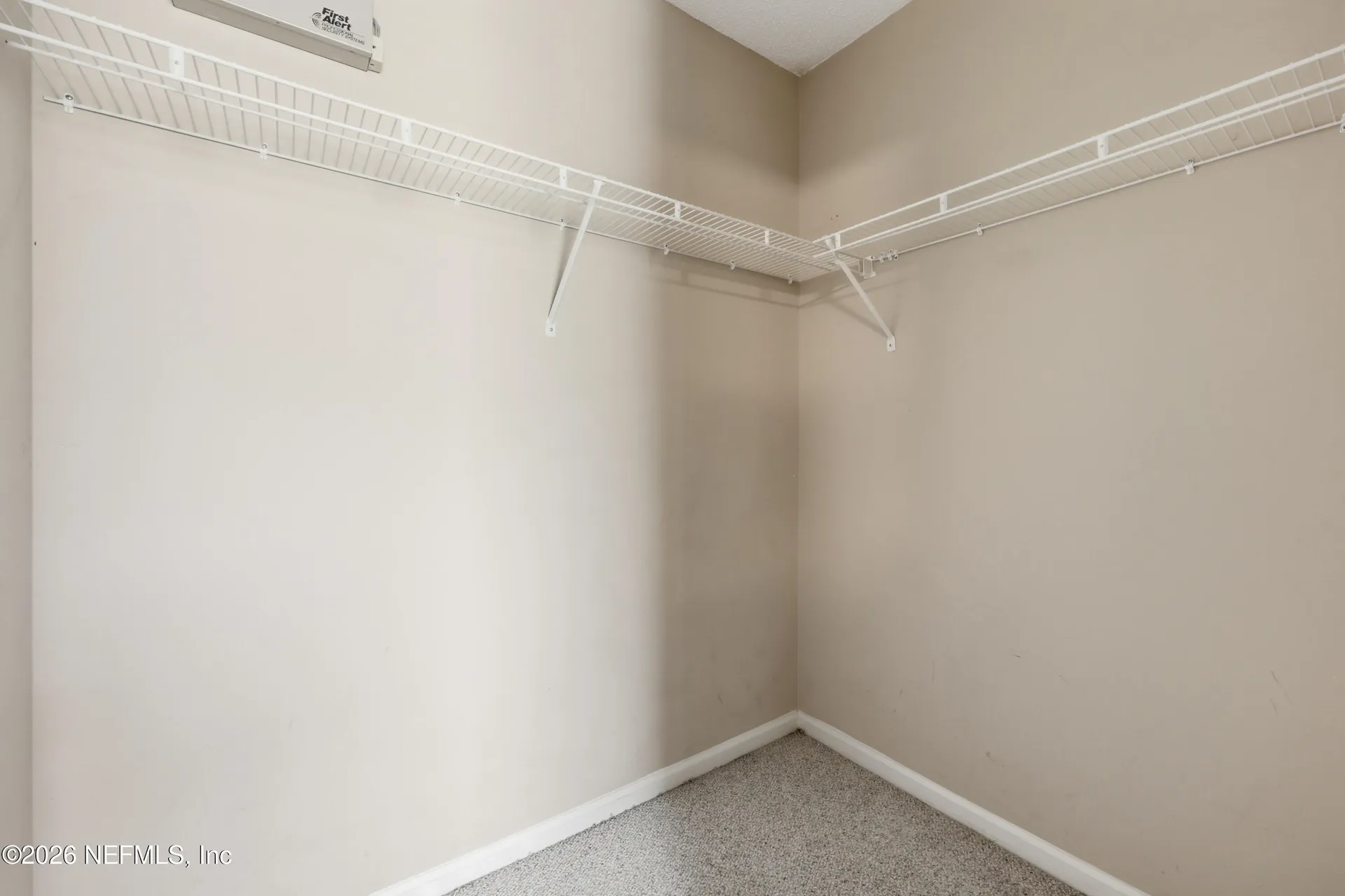 2349 Tigress Lane Middleburg FL 32068
