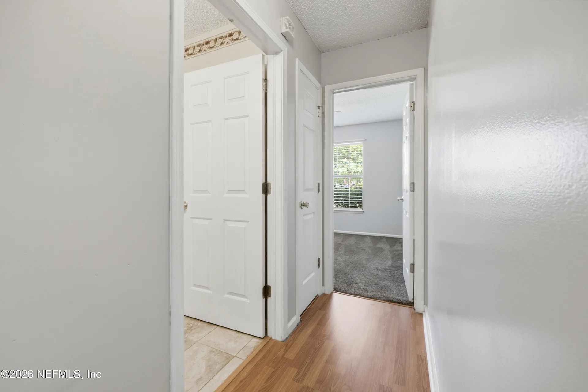 2349 Tigress Lane Middleburg FL 32068