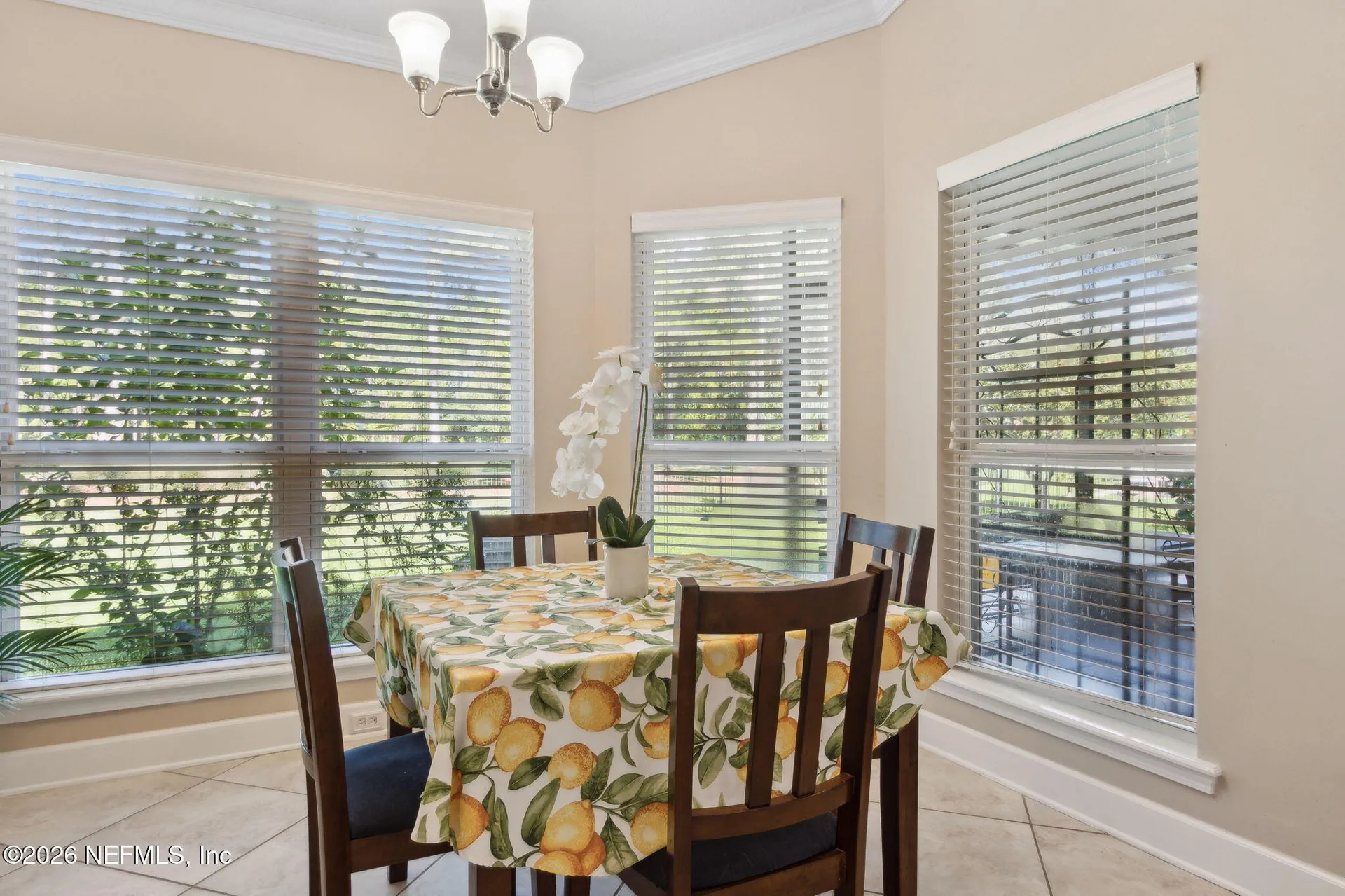 1372 Eagle Crossing Drive Orange Park FL 32065