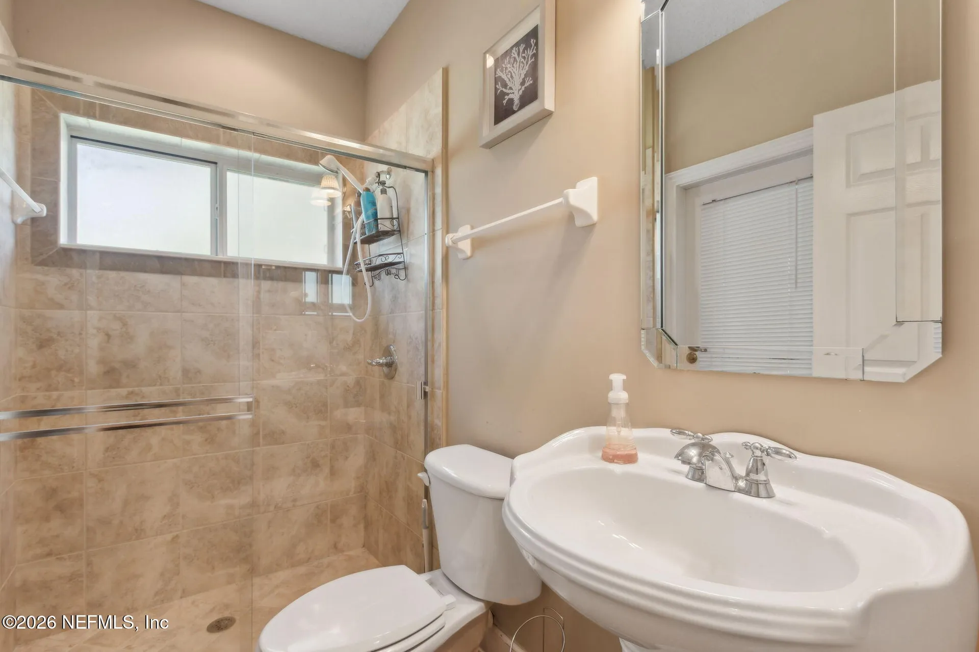 1372 Eagle Crossing Drive Orange Park FL 32065