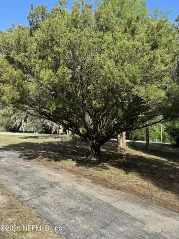 608 Coral Farms Road Florahome FL 32140