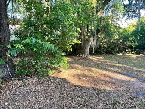 276 Auriga Drive Orange Park FL 32073