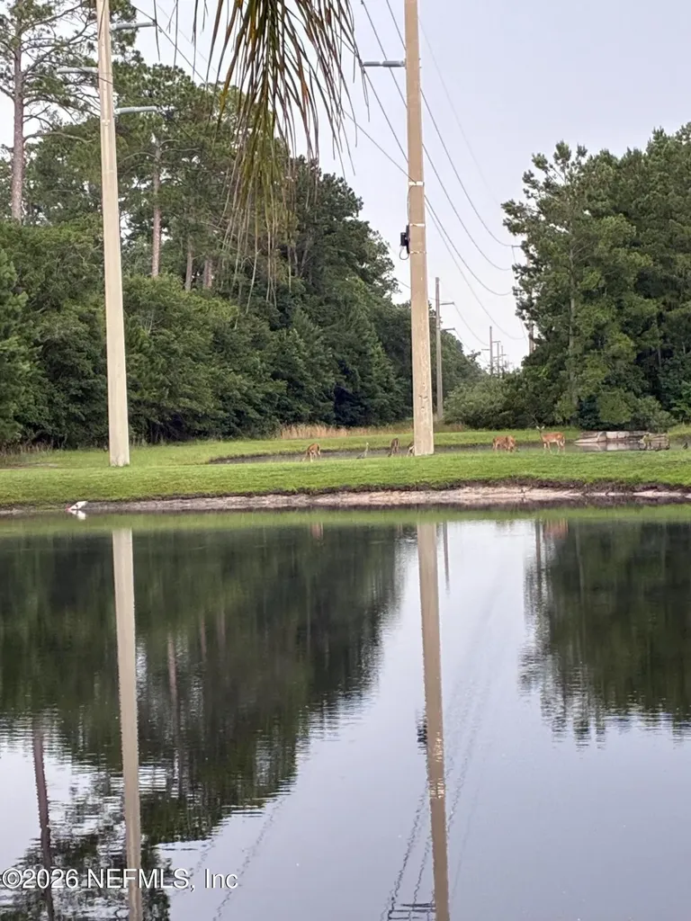 308 Diana Court St. Augustine FL 32092