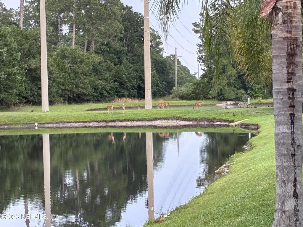 308 Diana Court St. Augustine FL 32092