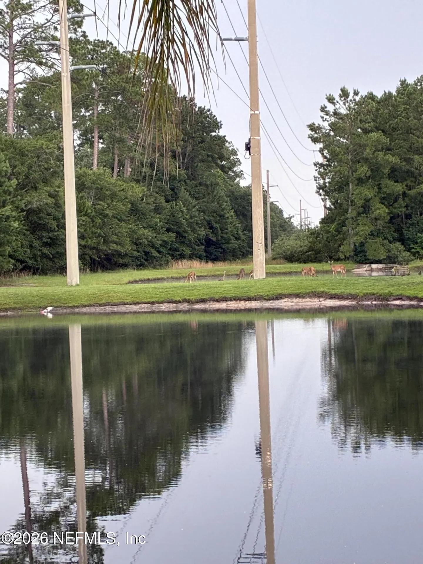 308 Diana Court St. Augustine FL 32092