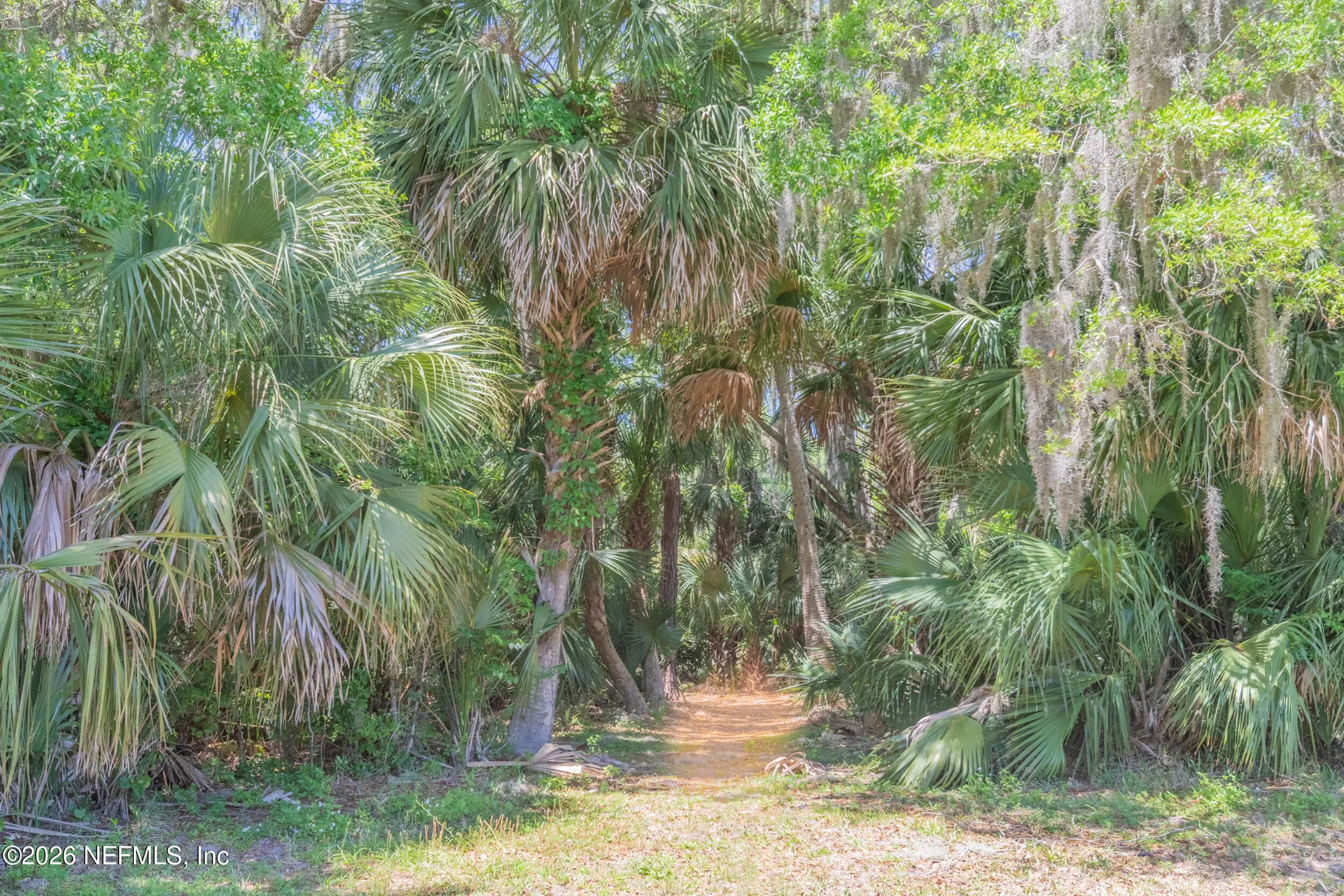 1200 Canopy Walk Lane Palm Coast FL 32137