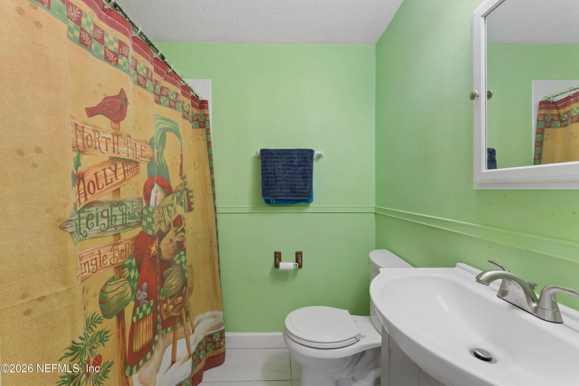 183 Orion Street Orange Park FL 32073