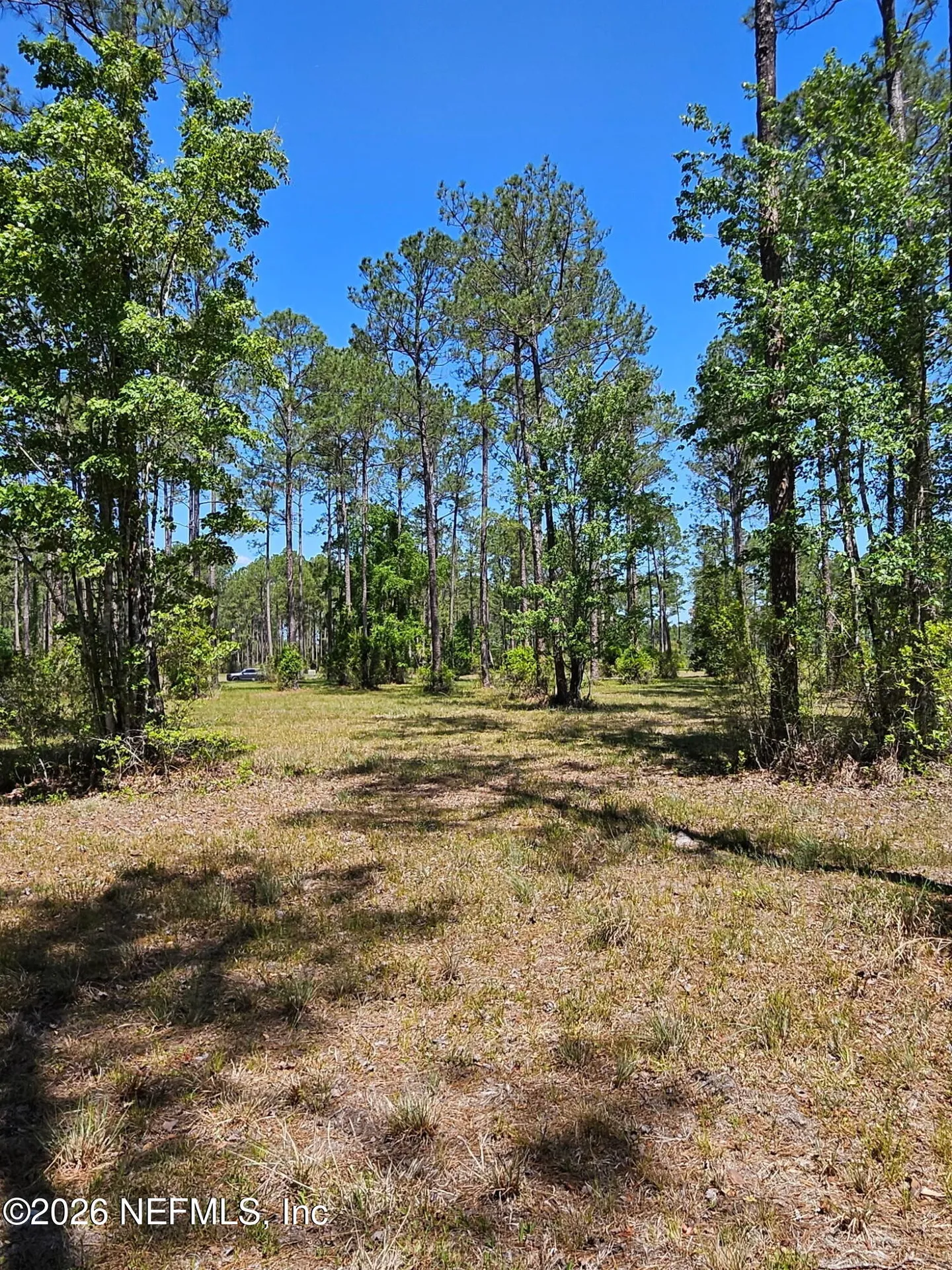 10136 Kings Crossing Drive Jacksonville FL 32219