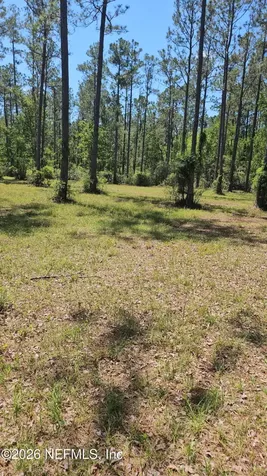 10136 Kings Crossing Drive Jacksonville FL 32219