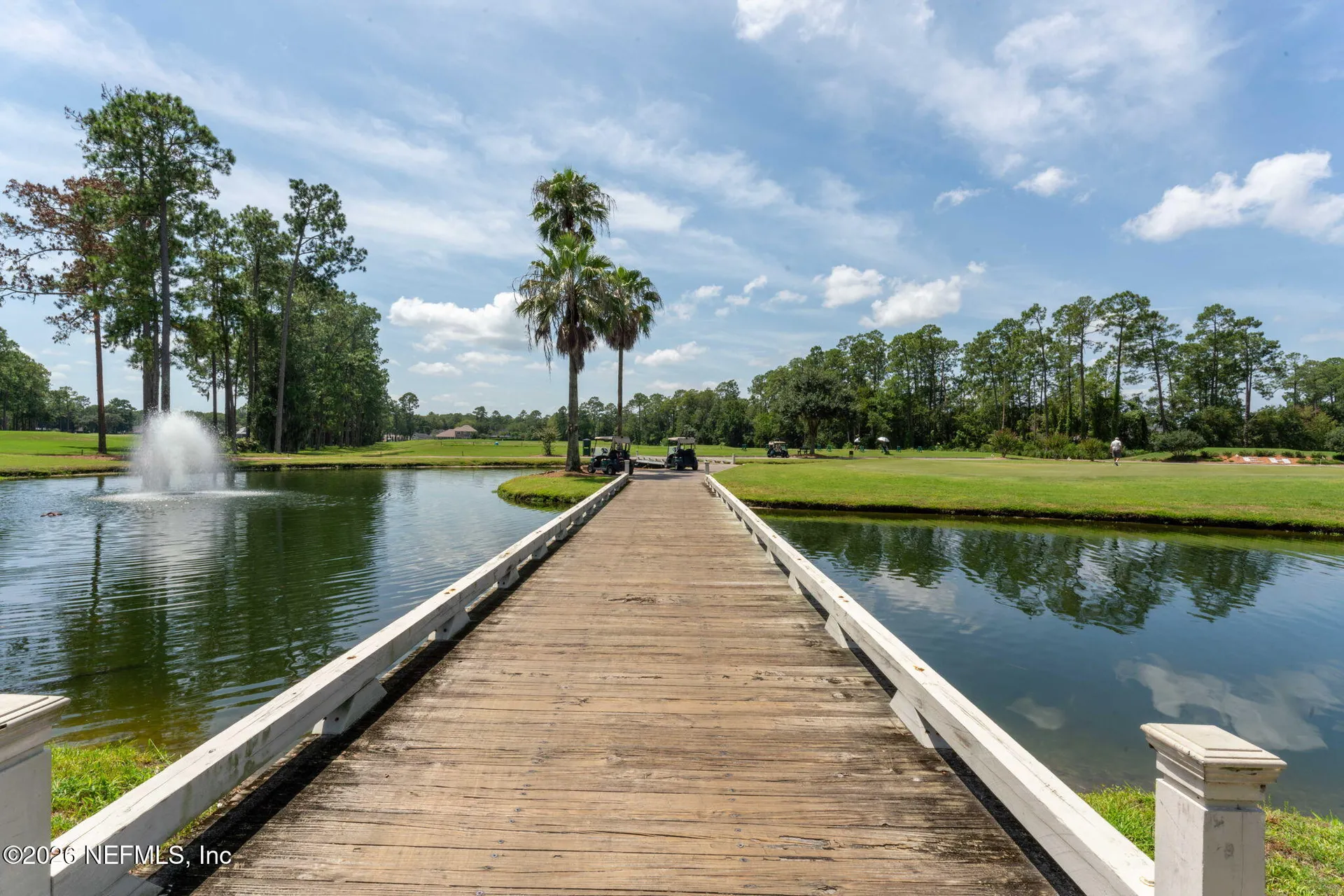 1600 Spring Water Court Fleming Island FL 32003