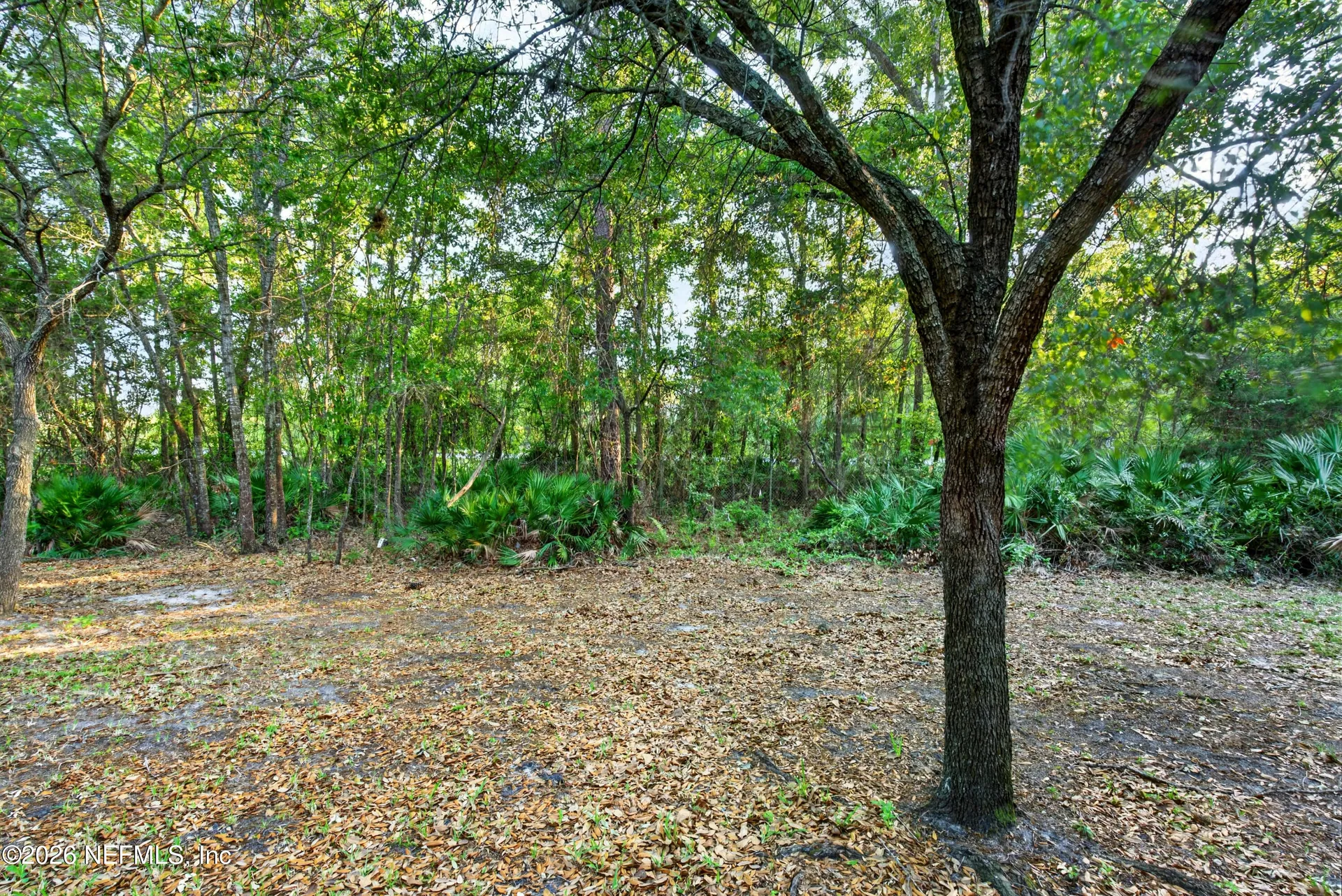 11816 Lake Bend Circle Jacksonville FL 32218