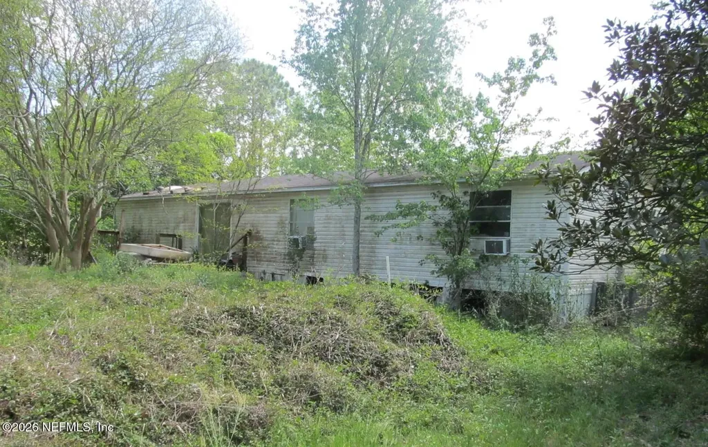 132 Mandrake Street Middleburg FL 32068