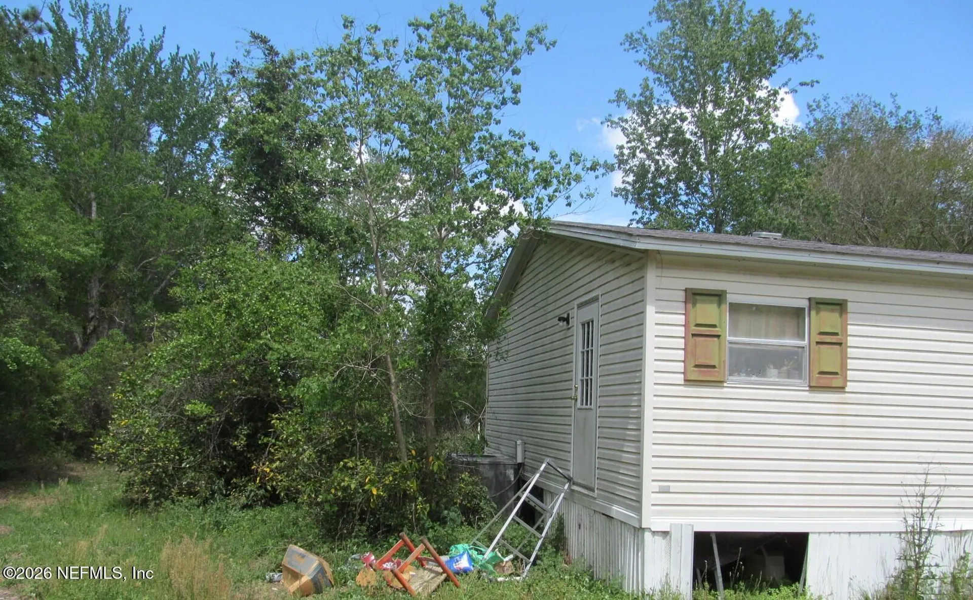 132 Mandrake Street Middleburg FL 32068