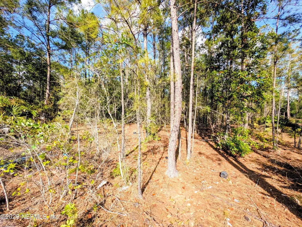 0 NE Us Highway 301 Waldo FL 32694