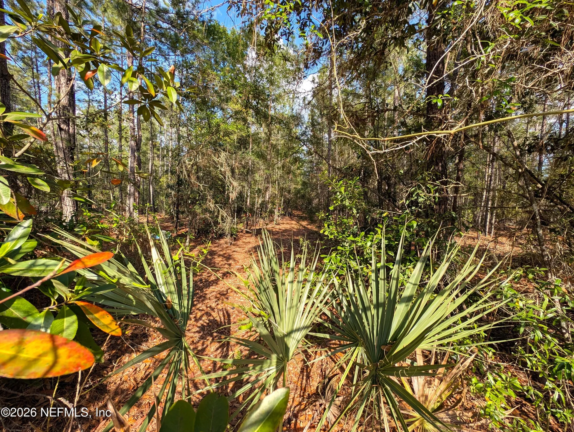 0 NE Us Highway 301 Waldo FL 32694
