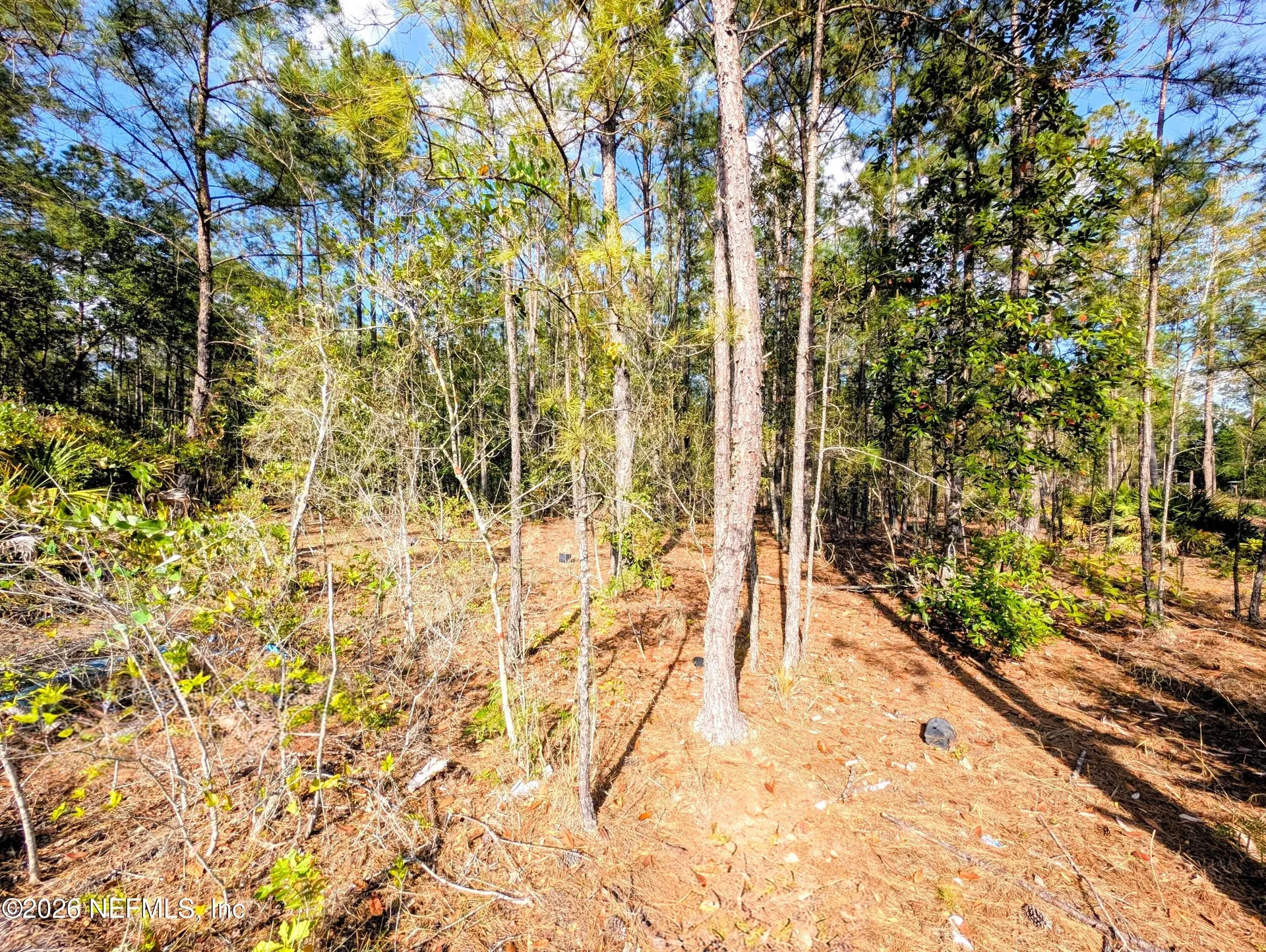 0 NE Us Highway 301 Waldo FL 32694