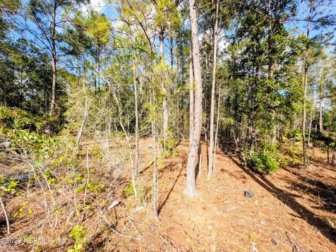 0 NE Us Highway 301 Waldo FL 32694