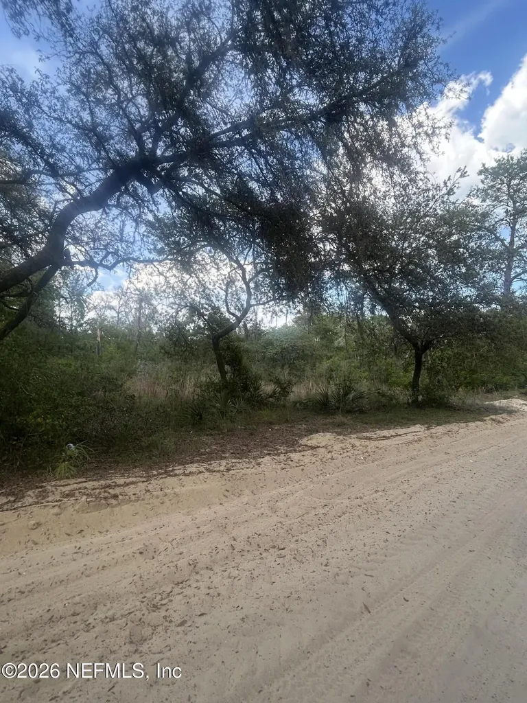 0 NE 233rd Place Fort Mccoy FL 32134