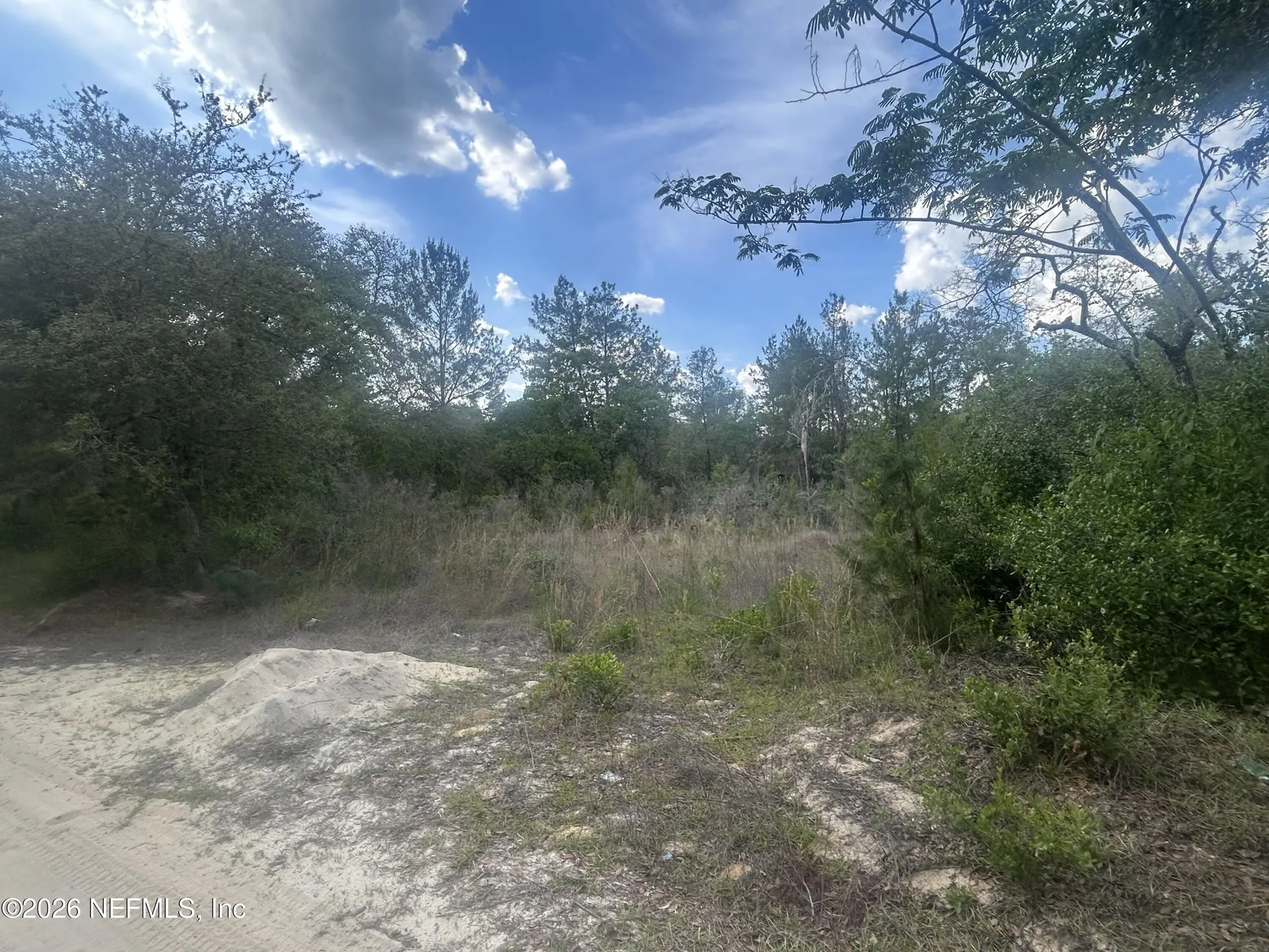 0 NE 233rd Place Fort Mccoy FL 32134