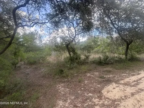 0 NE 233rd Place Fort Mccoy FL 32134