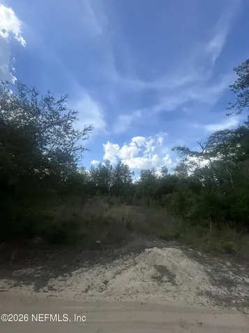 0 NE 233rd Place Fort Mccoy FL 32134