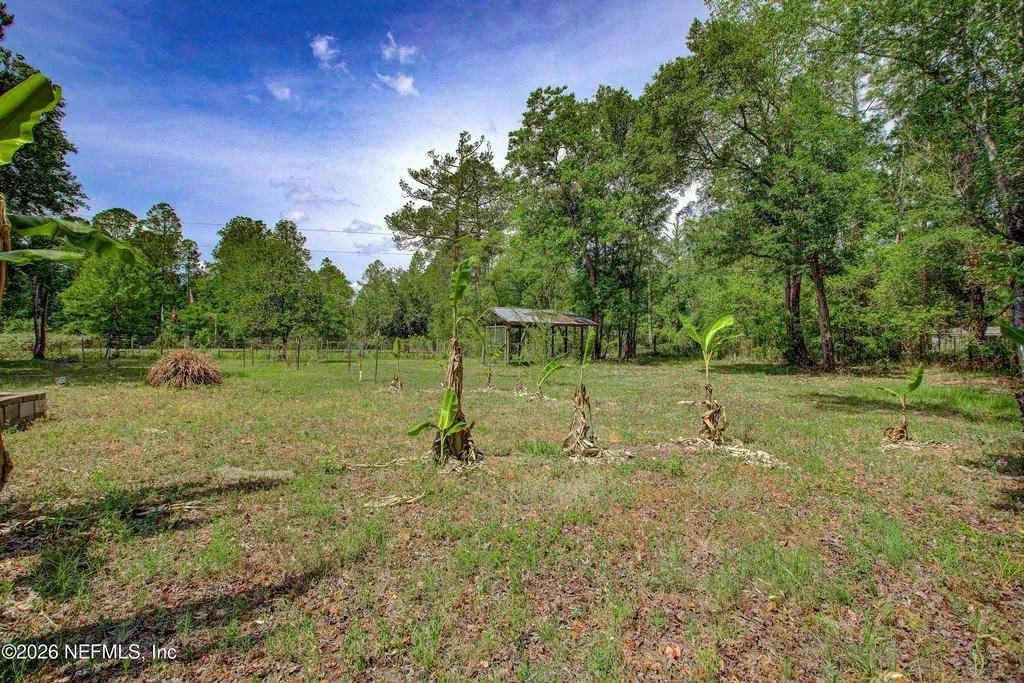 2183 Maluke Lane Middleburg FL 32068