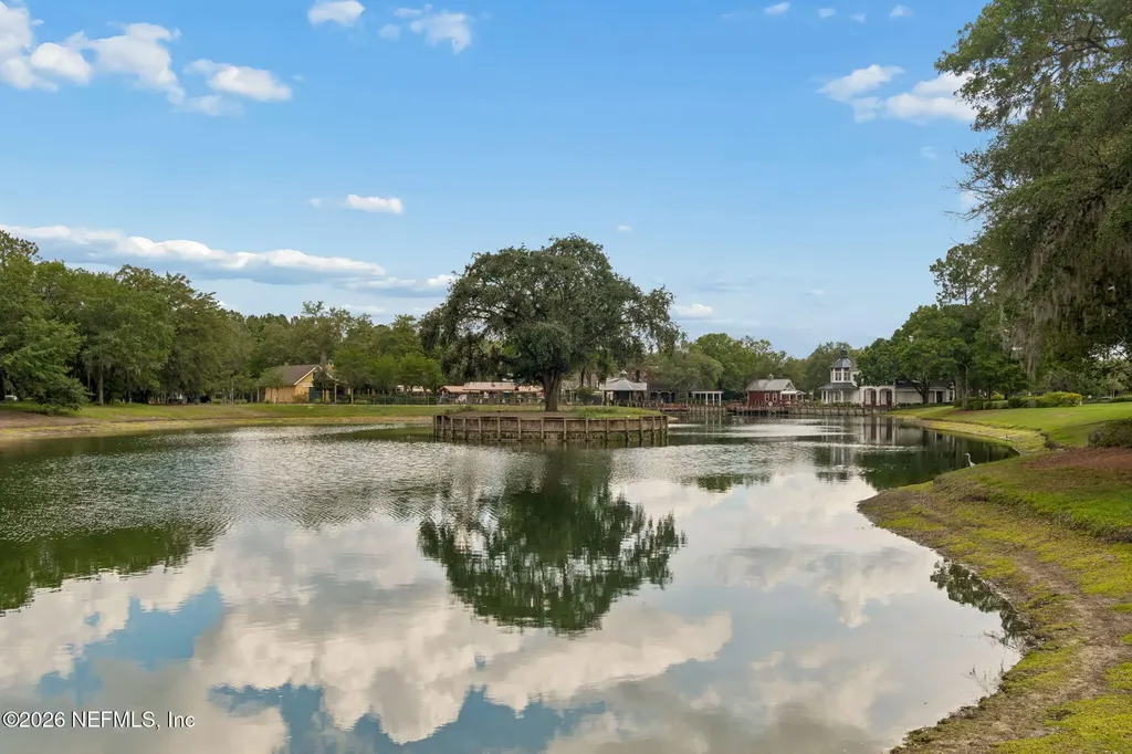 1009 Oakland Hills Avenue Middleburg FL 32068