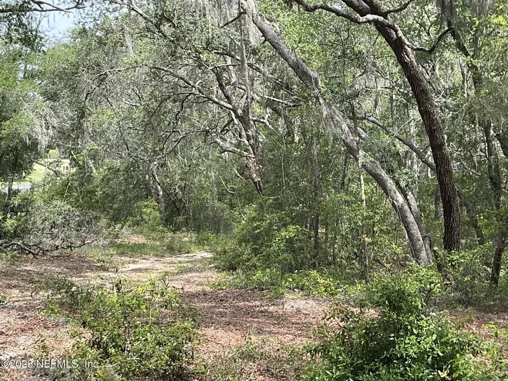 1643 State Road 20 Hawthorne FL 32640