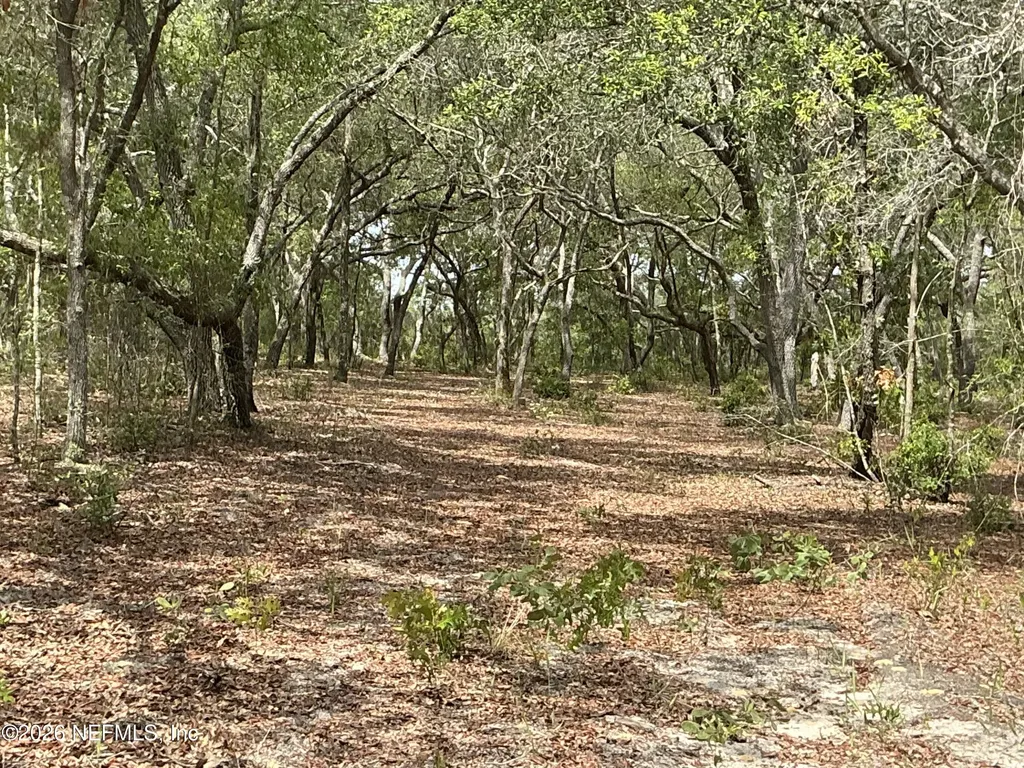 1643 State Road 20 Hawthorne FL 32640